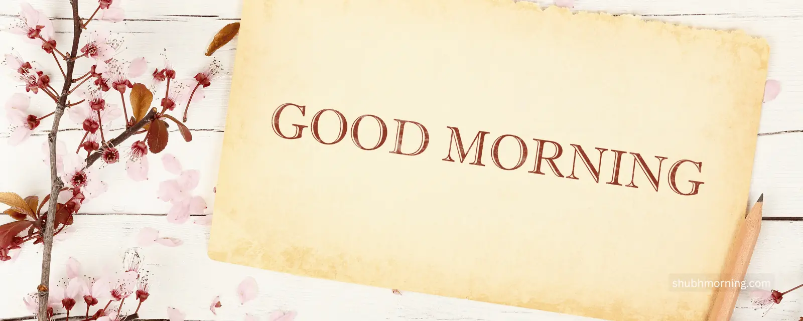 Good morning wish on aged paper beside pink cherry blossom