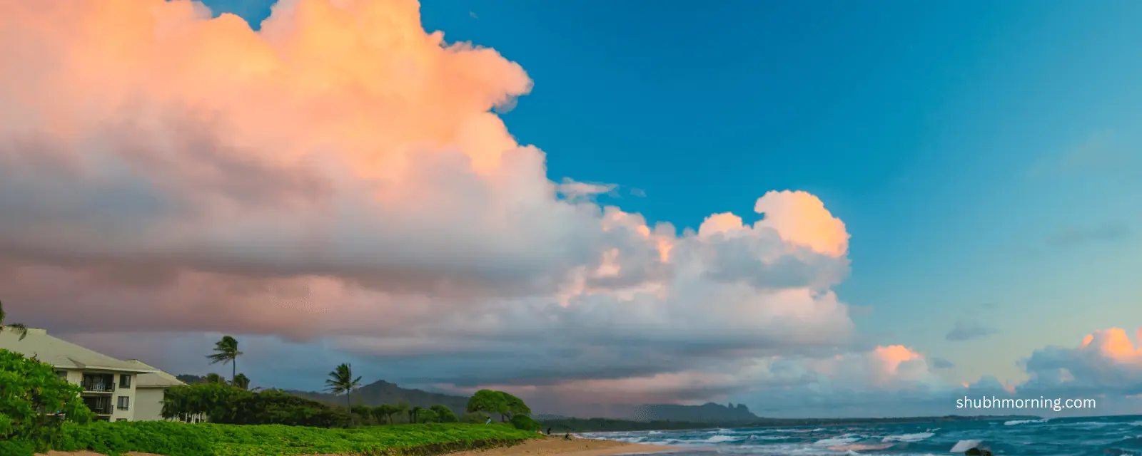 Sunrise clouds glowing pink over a palm-lined coast