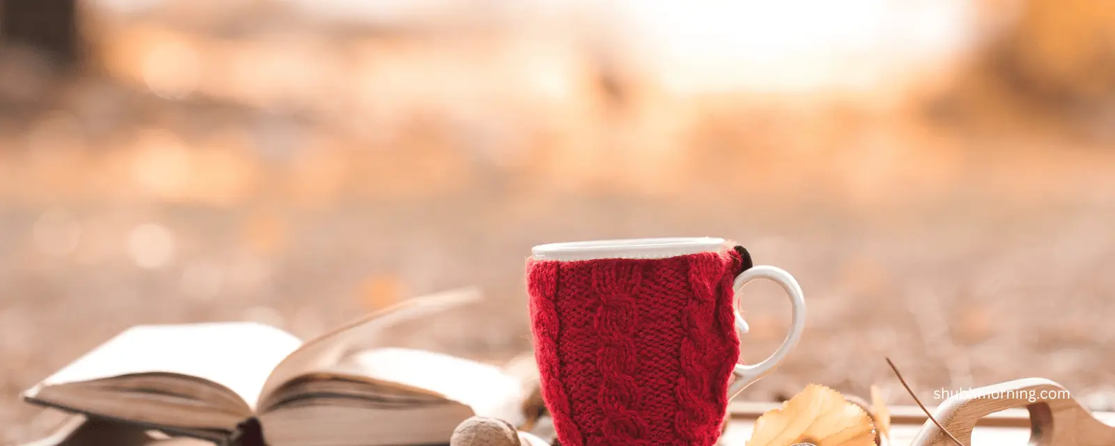 A mug in a red knitted cosy beside an open book in warm autumn light